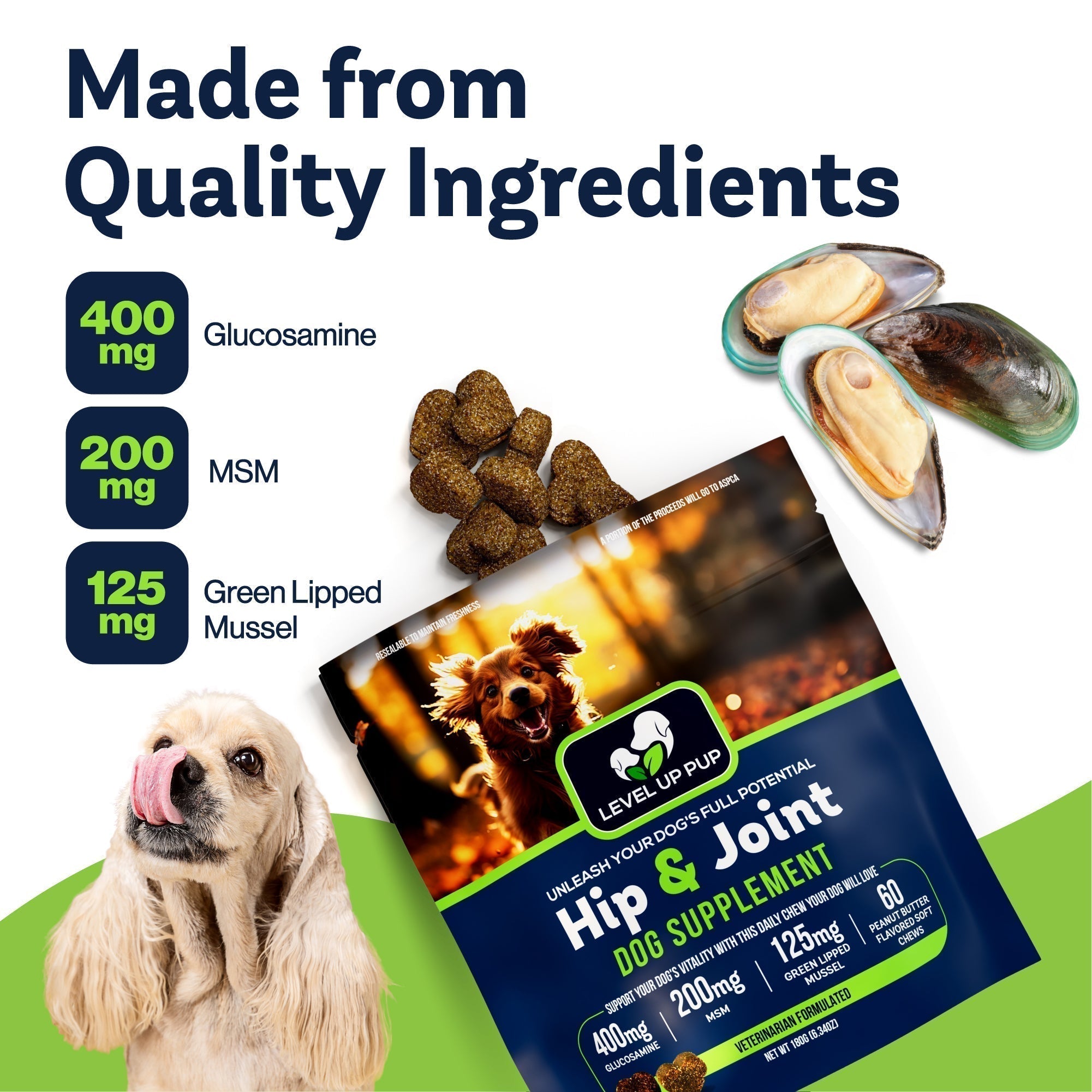 Why Joint Health Matters: Keeping Your Pup Active and Happy