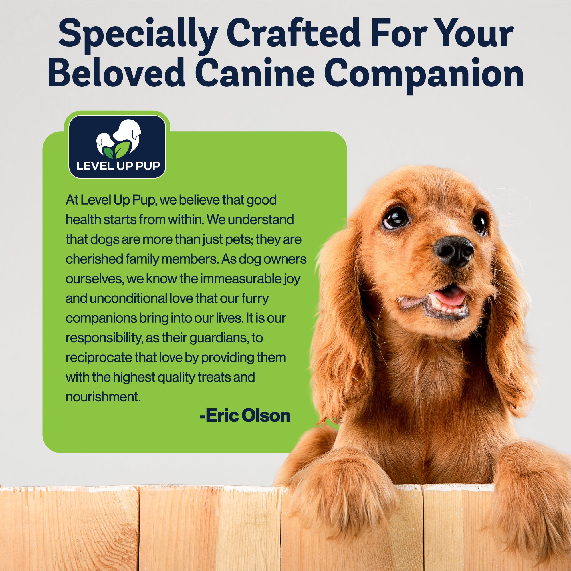 Hip & Joint Supplement