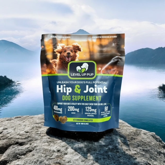 Hip & Joint Supplement