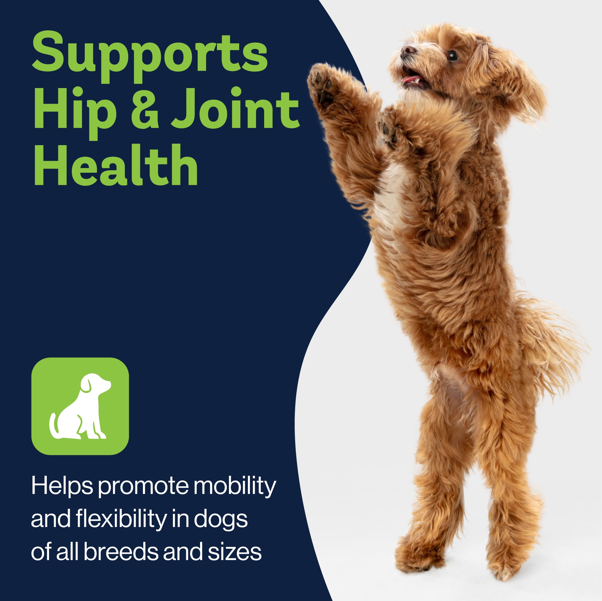 Hip & Joint Supplement